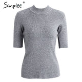 Woman's Skinny Turtleneck Sweater